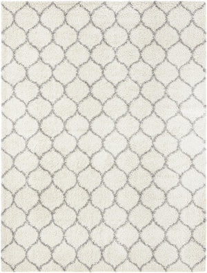 Ivory 10' x 13' Trellis Shag Rectangle Area Rug Thick Soft Touch Fluffy & Plush Shaggy Pile
