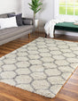 Ivory 2' x 3' Trellis Shag Rectangle Area Rug Thick Soft Touch Fluffy & Plush Shaggy Pile
