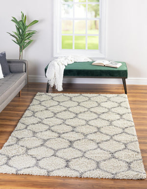 Ivory 2' x 3' Trellis Shag Rectangle Area Rug Thick Soft Touch Fluffy & Plush Shaggy Pile