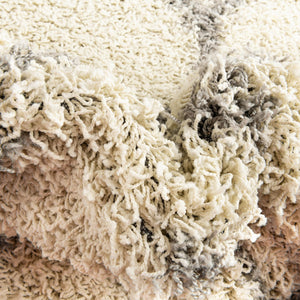 Ivory 2' x 3' Trellis Shag Rectangle Area Rug Thick Soft Touch Fluffy & Plush Shaggy Pile