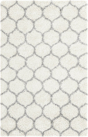 Ivory 5' 3 x 8' Trellis Shag Rectangle Area Rug Thick Soft Touch Fluffy & Plush Shaggy Pile