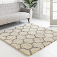 Ivory 4' x 4' Trellis Shag Square Area Rug Thick Soft Touch Fluffy & Plush Shaggy Pile