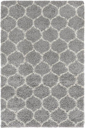 Gray 5' 3 x 8' Trellis Shag Rectangle Area Rug Thick Soft Touch Fluffy & Plush Shaggy Pile