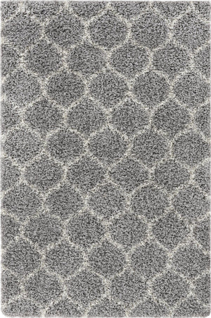 Gray 4' x 6' Trellis Shag Rectangle Area Rug Thick Soft Touch Fluffy & Plush Shaggy Pile