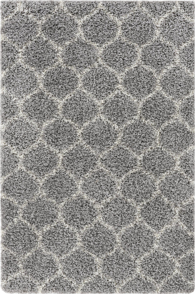 Gray 4' x 6' Trellis Shag Rectangle Area Rug Thick Soft Touch Fluffy & Plush Shaggy Pile