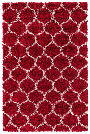Burgundy Red 4' x 6' Trellis Shag Rectangle Area Rug Thick Soft Touch Fluffy & Plush Shaggy Pile