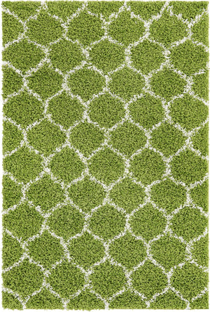 Green 4' x 6' Trellis Shag Rectangle Area Rug Thick Soft Touch Fluffy & Plush Shaggy Pile
