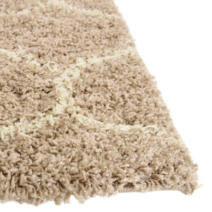 Light Brown 4' x 6' Trellis Shag Rectangle Area Rug Thick Soft Touch Fluffy & Plush Shaggy Pile