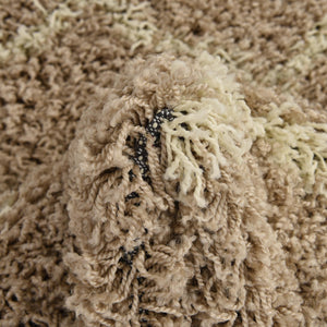 Light Brown 4' x 6' Trellis Shag Rectangle Area Rug Thick Soft Touch Fluffy & Plush Shaggy Pile