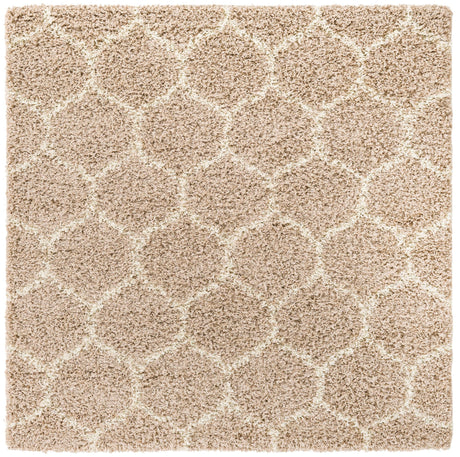 Light Brown 5' 3 x 5' 3 Trellis Shag Square Area Rug Thick Soft Touch Fluffy & Plush Shaggy Pile Geometric Modern Unique Carpet for Home Interior Design for Sale at Rug Engine