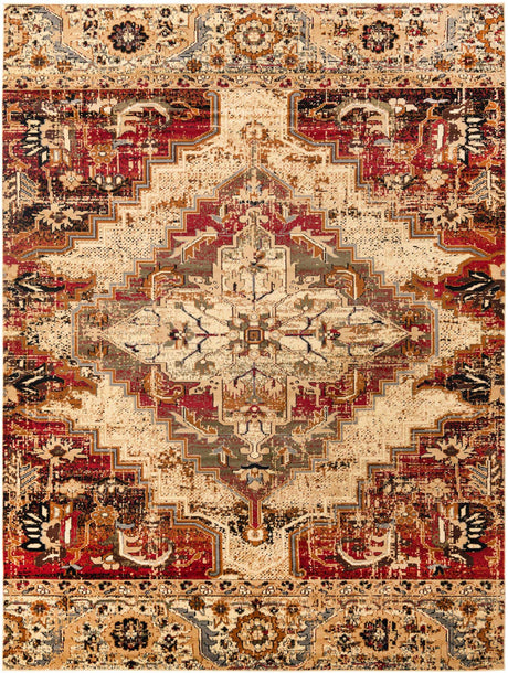 Burgundy Beige 9' x 12' Saturn Rectangle Area Rug Stain Resistant Easy Clean Classic Vintage Design Durable Carpet for Affordable Home Interiors for Sale at Rug Engine