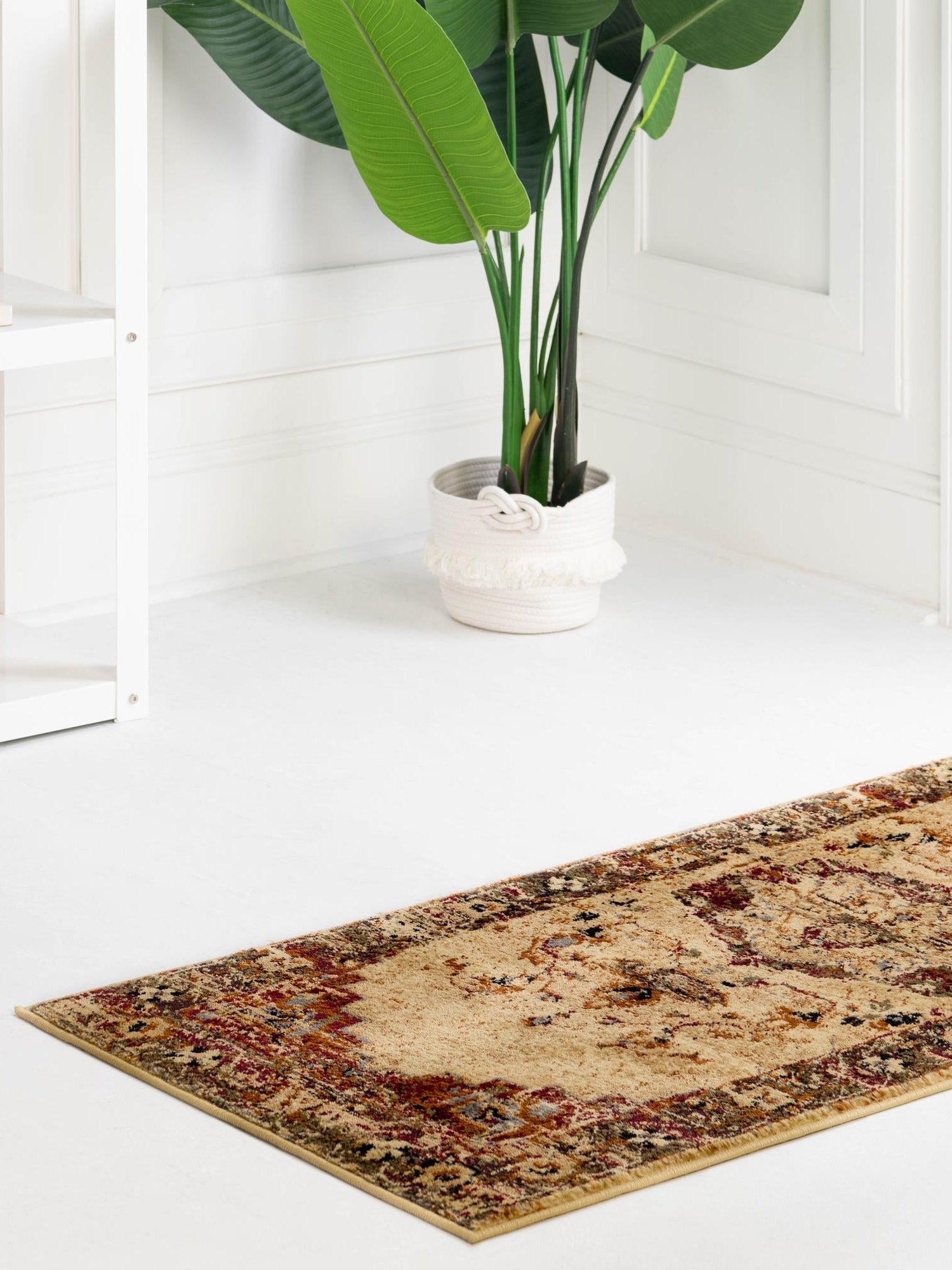 Cream 2' 2 x 5' Saturn Runner Area Rug Stain Resistant Easy Clean Classic Vintage Design Durable Carpet for Affordable Home Interiors for Sale at Rug Engine