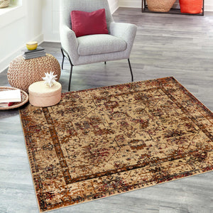 Beige Cream 5' 3 x 5' 3 Saturn Square Area Rug Stain Resistant Easy Clean Classic Vintage Design Durable Carpet for Affordable Home Interiors for Sale at Rug Engine