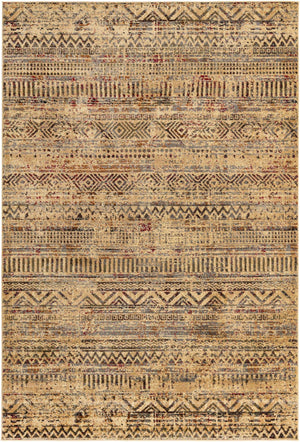 Beige 6' 1 x 9' Saturn Rectangle Area Rug Stain Resistant Easy Clean Classic Vintage Design Durable Carpet for Affordable Home Interiors for Sale at Rug Engine