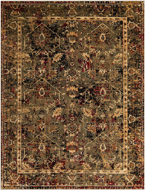 Green 7' 10 x 10' Saturn Rectangle Area Rug Stain Resistant Easy Clean Classic Vintage Design Durable Carpet for Affordable Home Interiors for Sale at Rug Engine