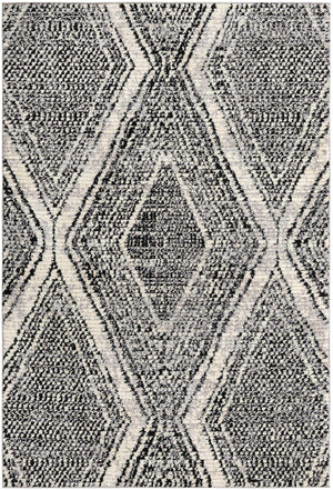 Black and White 6' x 9' Tagine Rectangle Area Rug Durable 100% Polyester Modern Unique Easy Clean Carpet for Indoor Home Decor for Sale at Rug Engine