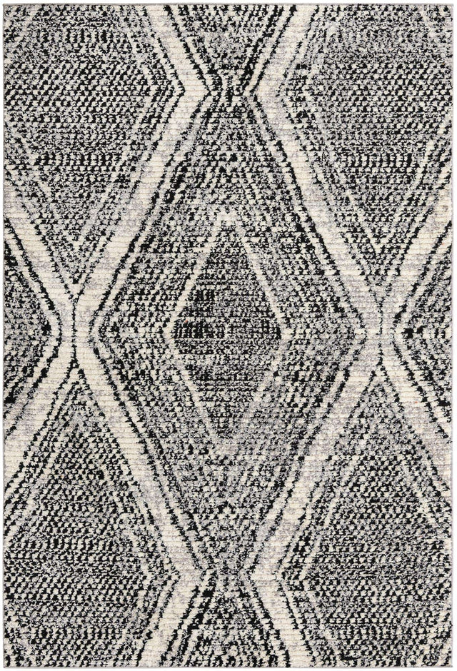 Black and White 6' x 9' Tagine Rectangle Area Rug Durable 100% Polyester Modern Unique Easy Clean Carpet for Indoor Home Decor for Sale at Rug Engine