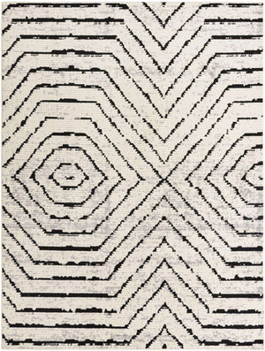 Black and White 9' x 12' Tagine Rectangle Area Rug Durable 100% Polyester Modern Unique Easy Clean Carpet for Indoor Home Decor for Sale at Rug Engine