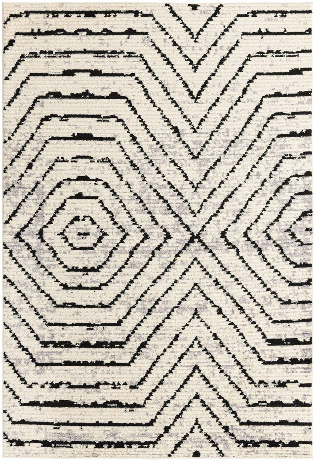 Black and White 6' x 9' Tagine Rectangle Area Rug Durable 100% Polyester Modern Unique Easy Clean Carpet for Indoor Home Decor for Sale at Rug Engine