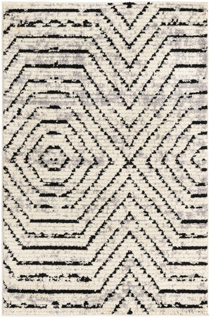 Black and White 4' x 6' Tagine Rectangle Area Rug Durable 100% Polyester Modern Unique Easy Clean Carpet for Indoor Home Decor for Sale at Rug Engine