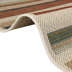 Multicolor 2' x 3' Baja Outdoor Rectangle Rug