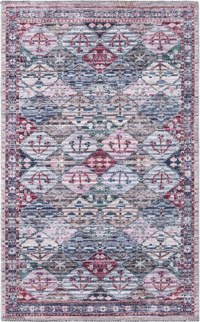 Washable Multicolor 2' x 3' Mangata Rectangle Area Rug Easy to Clean Stain Resistant & Durable Chenille Traditional Vintage Distressed Carpet for Sale at Rug Engine