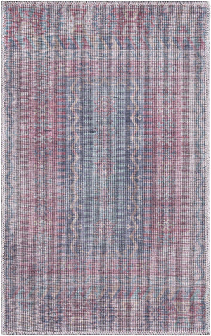 Washable Multicolor 2' x 3' Sisu Rectangle Area Rug Easy to Clean Stain Resistant & Durable Polyester Chenille Distressed Vintage Look Carpet for Sale at Rug Engine