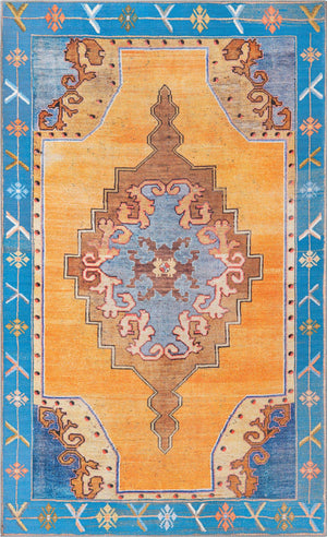 Washable Orange 5' x 8' Timeless Rectangle Area Rug Easy to Clean Stain Resistant & Durable Traditional Classic Vintage Design Carpet for Sale at Rug Engine