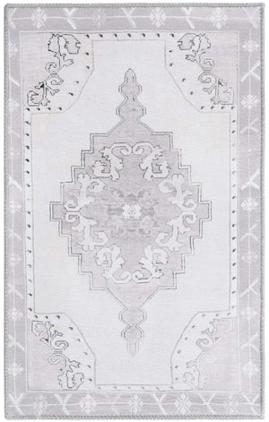 Washable white Gray 2' x 3' Timeless Rectangle Area Rug Easy to Clean Stain Resistant & Durable Traditional Classic Vintage Design Carpet for Sale at Rug Engine