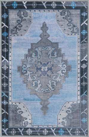 Washable Blue Gray 2' x 3' Timeless Rectangle Area Rug Easy to Clean Stain Resistant & Durable Traditional Classic Vintage Design Carpet for Sale at Rug Engine