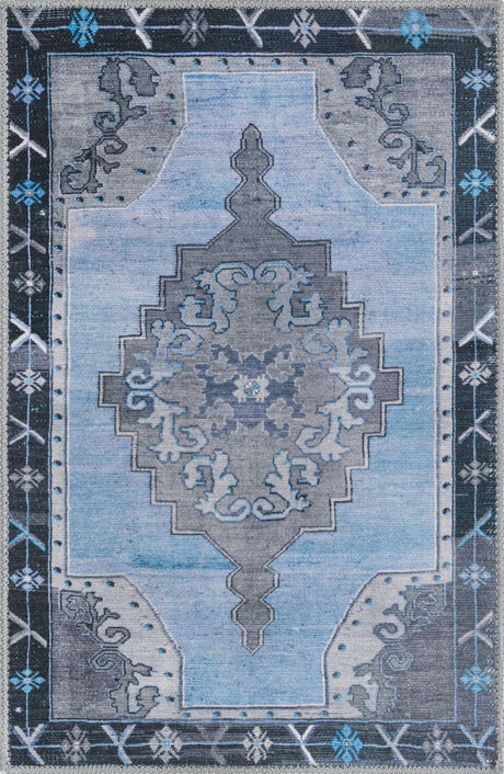 Washable Blue Gray 2' x 3' Timeless Rectangle Area Rug Easy to Clean Stain Resistant & Durable Traditional Classic Vintage Design Carpet for Sale at Rug Engine
