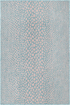 Pink and Aqua 4' 1 x 6' 1 Jill Zarin Outdoor Rectangle Area Rug Weather Resistant for Patio, Deck, Terrace, Balcony, Porch Durable 100% Polypropylene Carpet for Outside for Sale at Rug Engine