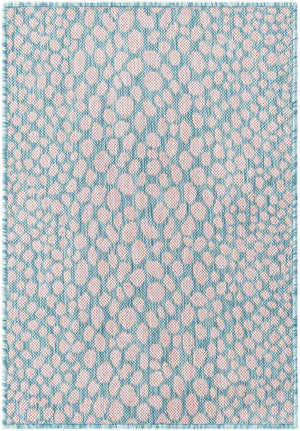 Pink and Aqua 2' x 3' 1 Jill Zarin Outdoor Rectangle Area Rug Weather Resistant for Patio, Deck, Terrace, Balcony, Porch Durable 100% Polypropylene Carpet for Outside for Sale at Rug Engine