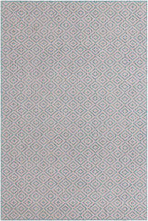 Pink and Aqua 6' 1 x 9' Jill Zarin Outdoor Rectangle Area Rug Weather Resistant for Patio, Deck, Terrace, Balcony, Porch Durable 100% Polypropylene Carpet for Outside for Sale at Rug Engine