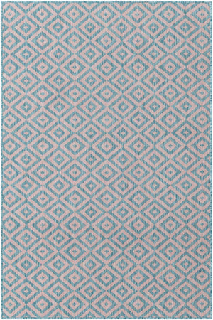 Pink and Aqua 4' 1 x 6' 1 Jill Zarin Outdoor Rectangle Area Rug Weather Resistant for Patio, Deck, Terrace, Balcony, Porch Durable 100% Polypropylene Carpet for Outside for Sale at Rug Engine