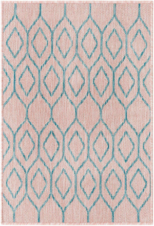 Pink and Aqua 2' x 3' 1 Jill Zarin Outdoor Rectangle Area Rug Weather Resistant for Patio, Deck, Terrace, Balcony, Porch Durable 100% Polypropylene Carpet for Outside for Sale at Rug Engine