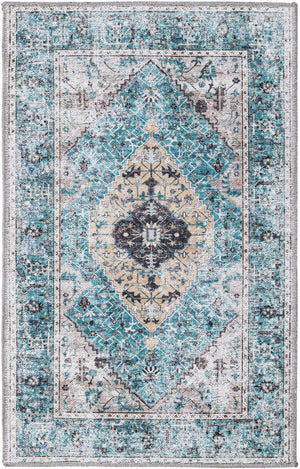 Washable Seaglass 2' x 3' Yara Rectangle Area Rug Easy to Clean Stain Resistant & Durable Polyester & Chenille Carpet for Sale at Rug Engine
