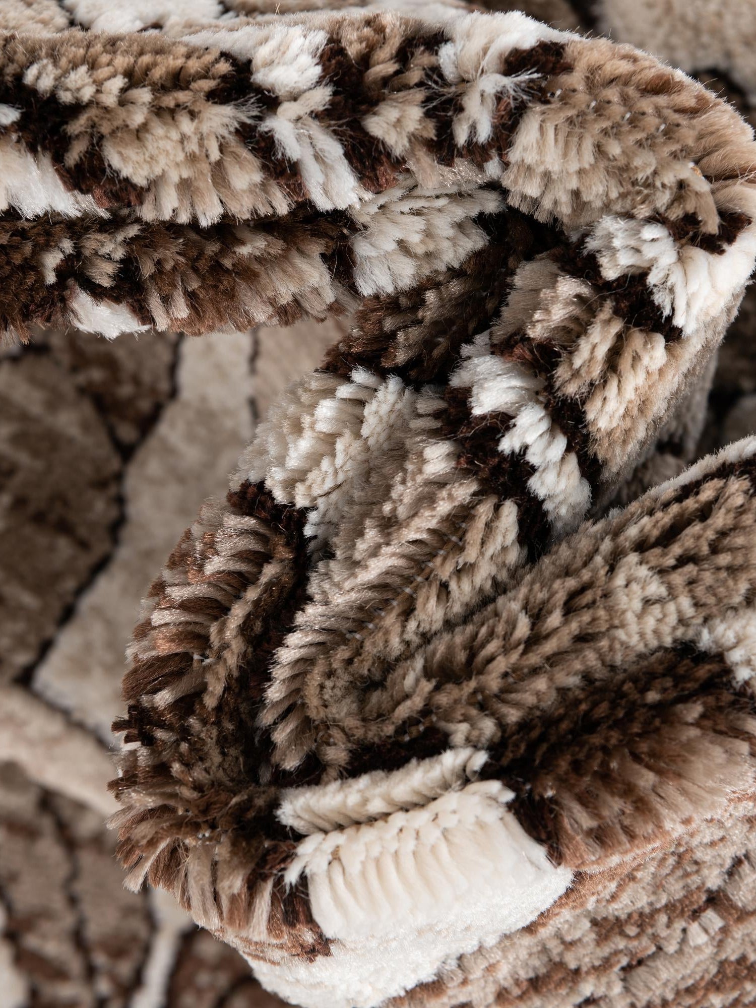 Chocolate Brown 3' 3 x 5' 3 Hermitage Rectangle Area Rug 55% Polypropylene & 45% Polyester Easy Clean Stain-Resistant Carpet for Living, Office, Dorm Rooms for Sale at Rug Engine