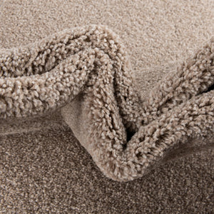Sea Salt Ivory 3' x 5' 3 Everyday Solid Rectangle Area Rug 100% Polypropylene With Felt Backing Easy Clean Simple Carpet for Minimalist Room Decorating for Sale at Rug Engine