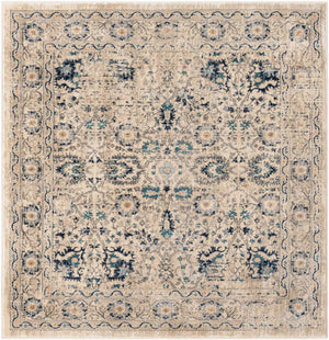 Beige 5' 3 x 5' 3 Oslo Square Area Rug 100% Polypropylene Traditional Classic Vintage Distressed Carpet for Indoor Home Decor for Sale at Rug Engine