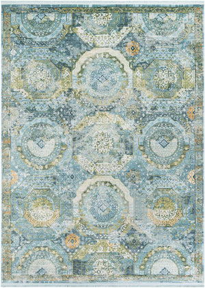 Light Blue 8' x 11' Baracoa Rectangle Area Rug 100% Polypropylene Distressed Vintage Living Dining Room Office Traditional Carpet for Sale at Rug Engine