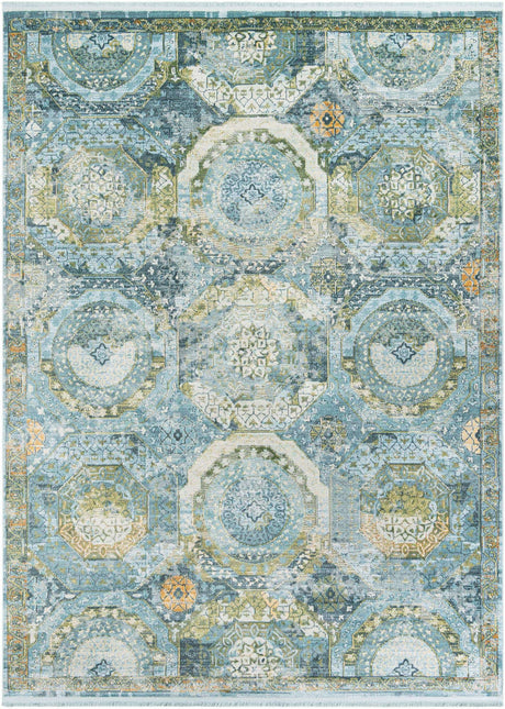Light Blue 8' x 11' Baracoa Rectangle Area Rug 100% Polypropylene Distressed Vintage Living Dining Room Office Traditional Carpet for Sale at Rug Engine