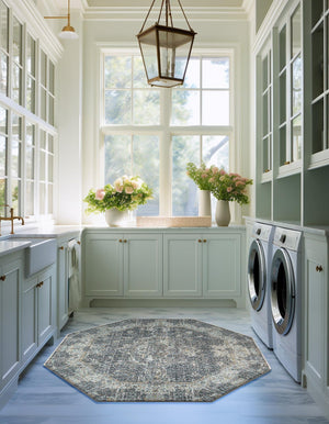 Fume Gray 4' 3 x 4' 3 Baracoa Octagon Area Rug 100% Polypropylene Distressed Vintage Living Dining Room Office Traditional Carpet for Sale at Rug Engine