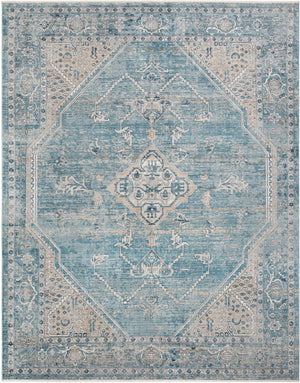 Blue 10' x 13' 1 Newport Rectangle Area Rug 100% Polypropylene Traditional Distressed Classic Contemporary Carpet for Home Decor for Sale at Rug Engine