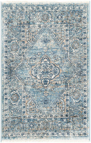 Blue 2' x 3' 1 Newport Rectangle Area Rug 100% Polypropylene Traditional Distressed Classic Contemporary Carpet for Home Decor for Sale at Rug Engine