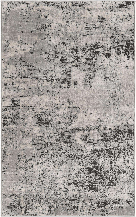Gray 3' 3 x 5' 3 Leipzig Rectangle Area Rug 75% Polypropylene & 25% Polyester Modern Contemporary Carpet for Kitchens, Bedroom, Living Room Home Decor for Sale at Rug Engine