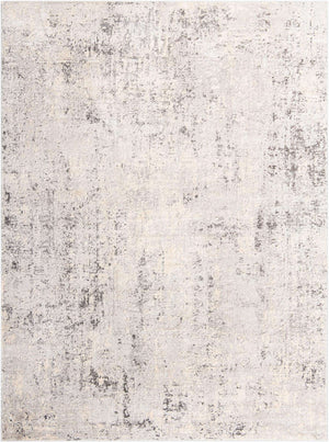 Gray 10' x 13' 1 Caspian Rectangle Area Rug 60% Polypropylene & 40% Polyester With Cotton Backing Modern Chic Carpet for Home Interior Design Decorating for Sale at Rug Engine