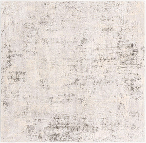 Gray 6' 1 x 6' 1 Caspian Square Area Rug 60% Polypropylene & 40% Polyester With Cotton Backing Modern Chic Carpet for Home Interior Design Decorating for Sale at Rug Engine