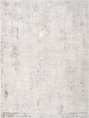 Gray 10' x 13' 1 Caspian Rectangle Area Rug 60% Polypropylene & 40% Polyester With Cotton Backing Modern Chic Carpet for Home Interior Design Decorating for Sale at Rug Engine
