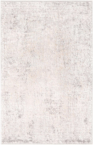 Gray 2' x 3' 1 Caspian Rectangle Area Rug 60% Polypropylene & 40% Polyester With Cotton Backing Modern Chic Carpet for Home Interior Design Decorating for Sale at Rug Engine
